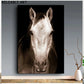 Modern Animal Horse Portrait Canvas Painting Poster and Prints Wall Art Pictures For Living Room Home Decor No Frame